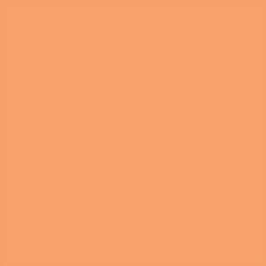 tecido-liso-199-laranja