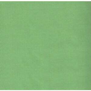 Tecido Liso Verde Kiwi C391 - 0,50x1,50mt