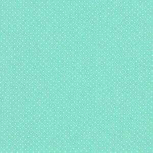 tecido-micro-poa-tiffany-41001-11