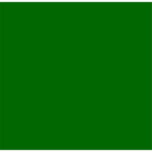 Tecido Liso Verde Bandeira C308 - 0,50x1,50mt