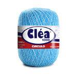 clea-1000-9113