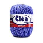 clea-1000-9172