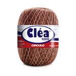 clea-1000-9601