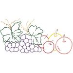 Kit de Pano de Prato Riscado 12 Unidades - Frutas