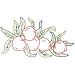 Kit de Pano de Prato Riscado 12 Unidades - Frutas