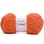 mollet-4165